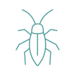 Disinfestazione BLatte e scarafaggi provincia roma