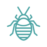 Disinfestazione cimici dei letti a roma