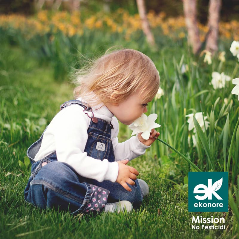 Azienda disinfestazioni roma senza pesticidi o prodotti chimici