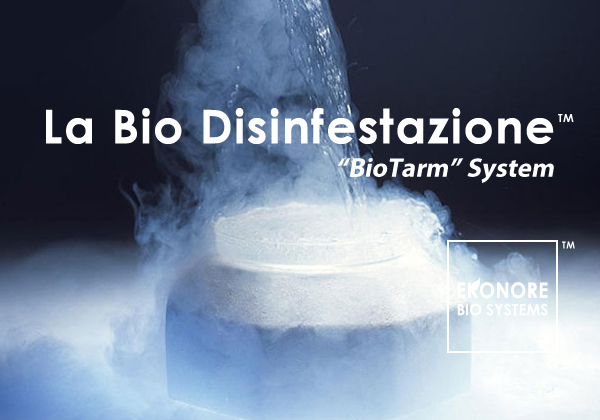 Azienda disinfestazione tarme Roma