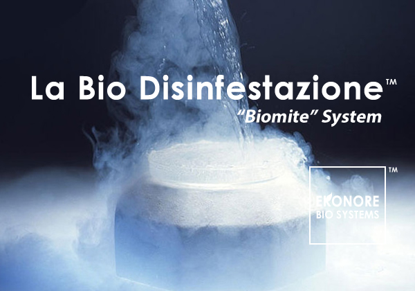 Disinfestazioni acari dei tarli provincia di roma