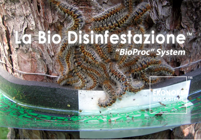 Ditta disinfestazione processionarie roma