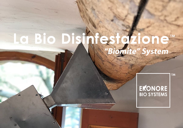 Disinfestazioni acari dei tarli a roma