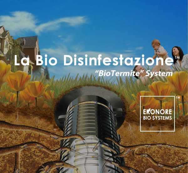 Azienda disinfestazione Roma Azienda disinfestazione Roma