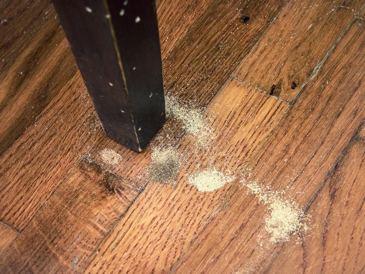 Parquet – disinfestazione tarli del legno in Piemonte