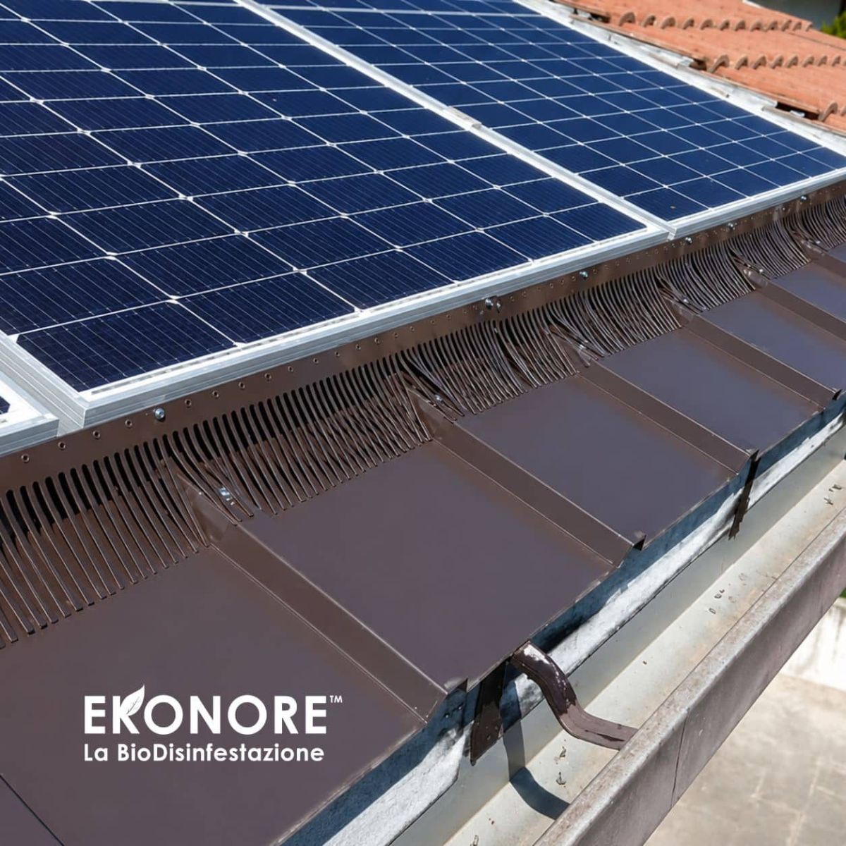 BirdSun installato – allontanamento volatili