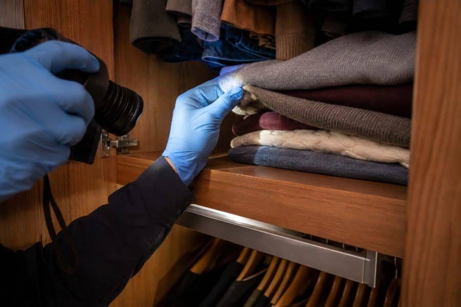 Disinfestazione tarme – Sopralluogo
