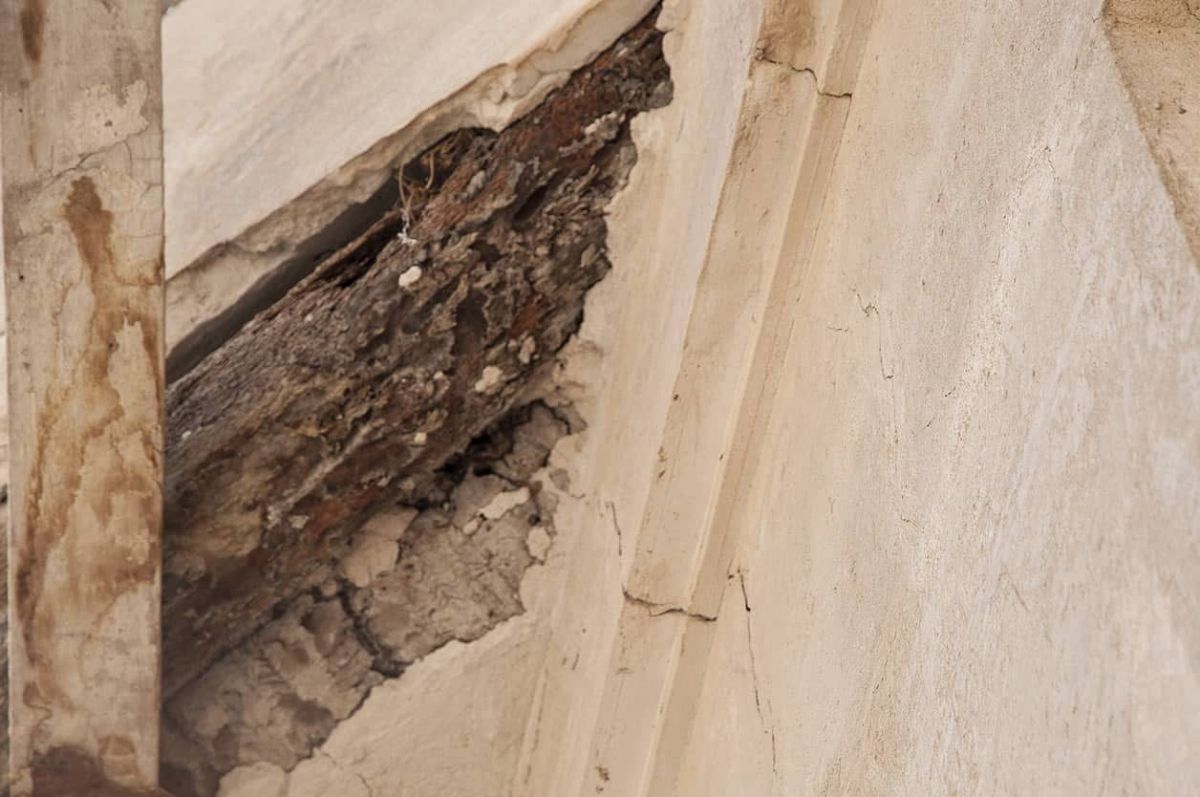 Legno danneggiato dalle termiti dall'interno