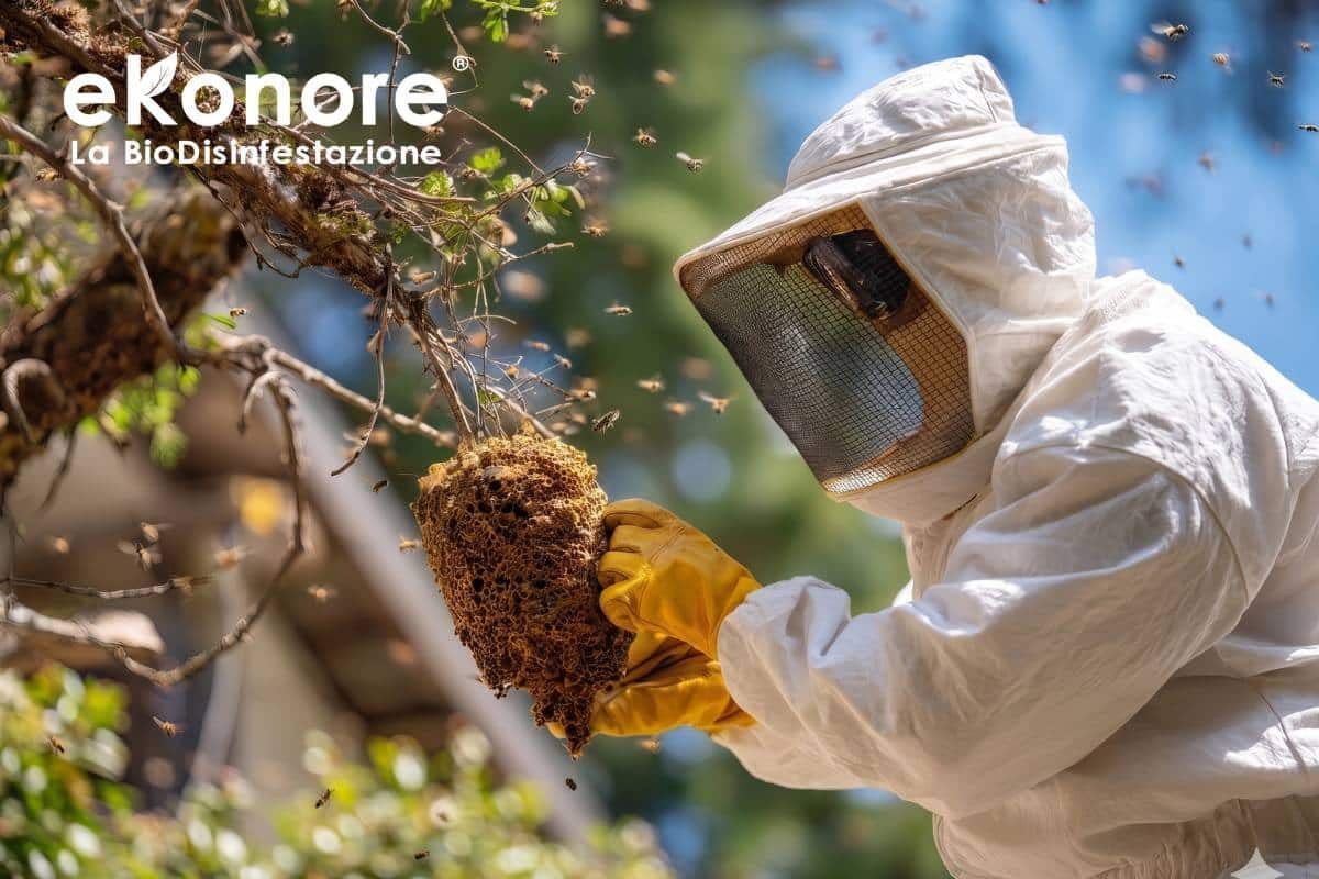 Disinfestazione processionaria – Sopralluogo
