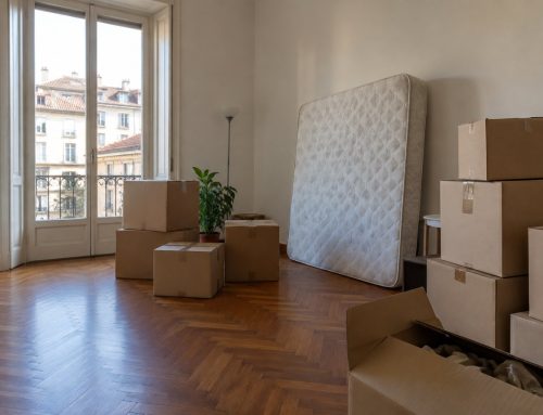Cimici dei letti con il trasloco o i mobili usati: come evitarle