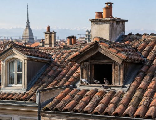 Piccioni nel sottotetto: cosa fare con nidi e guano