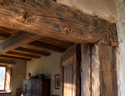 Termiti o tarli? Come capire chi sta rovinando il legno
