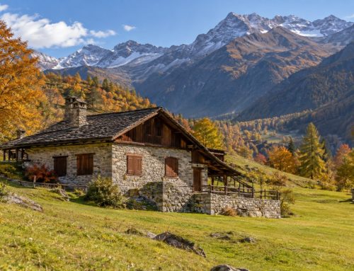 Topi nelle case di montagna: come proteggere la seconda casa