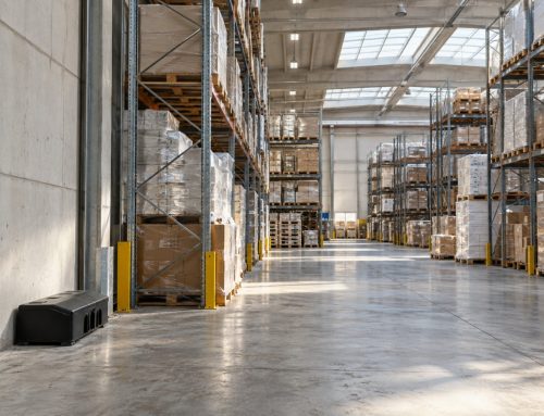 Topi nei magazzini e nella logistica del Novarese: come proteggere le merci