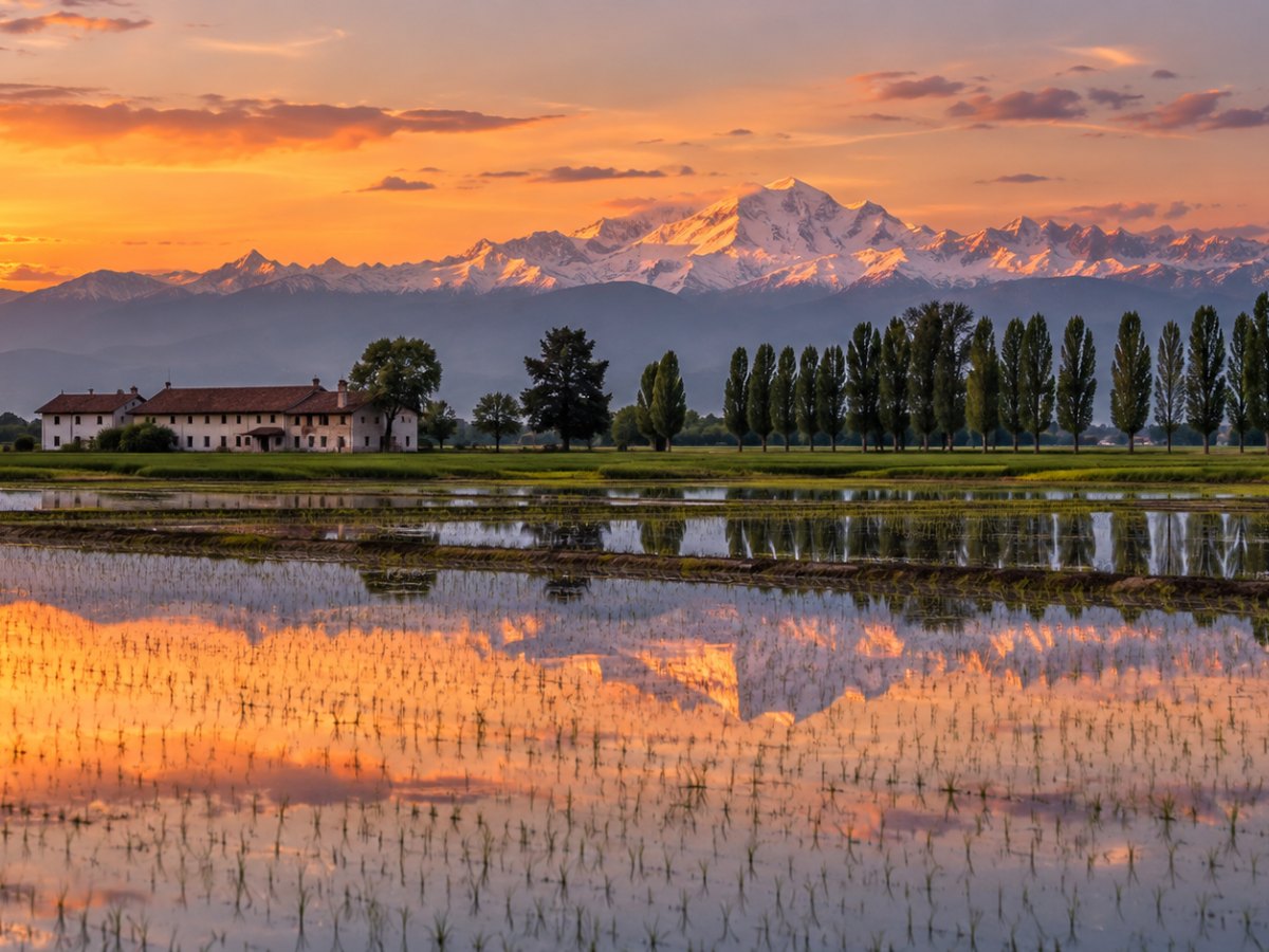 Risaie allagate tra Vercelli e Novara al tramonto con una cascina e il Monte Rosa