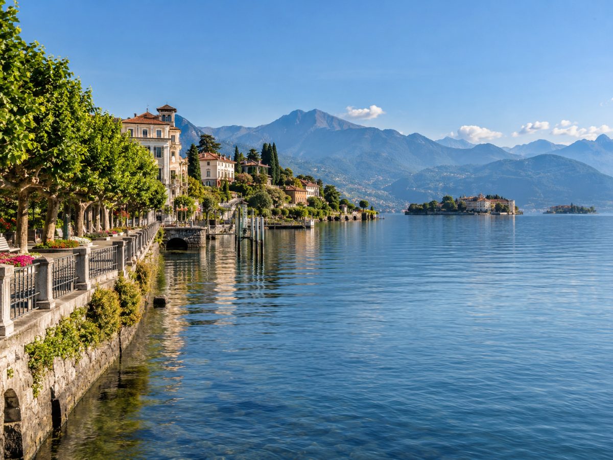 Disinfestazione a Verbania
