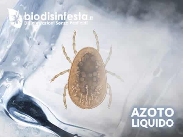 Azoto liquido a -196°C – disinfestazione zecche del piccione senza pesticidi