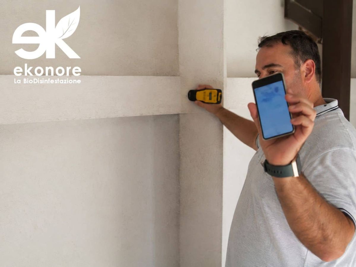 Localizzazione con Termatrac T3i – disinfestazione termiti senza pesticidi